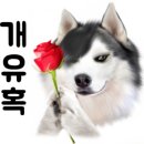 뽀남