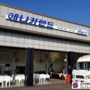 애니카랜드 포승점 이미지