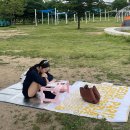 30대 직장인 일상 | 한강피크닉🌿•러닝•반려견축제•결혼고민=빠더너스 영상보며 힐링