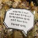 투접시족발 - 제주시 천수로 68 | 투접시족발