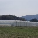 진월농장 이미지