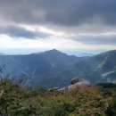 광양 진틀펜션 이미지