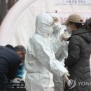 왜관중앙초교(병설) 이미지