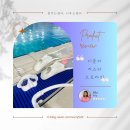 안질리오 | 프리다이빙 핀 추천 :: 디플리 오로라 미스티핀 🌈 내돈내산 리뷰