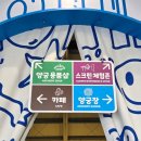 보은군청 생활체육공원(풋살경기장) | 양궁 체험은 슈팅존 양궁카페 서바이벌에서!