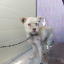 화신식물원 이미지