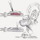 강앤정 동물병원 이미지