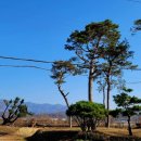 마을회관 정자옆 이미지