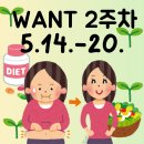 내돈내산 심으뜸 원트 다이어트 2주차 후기! 진짜 빠지긴 빠진다?
