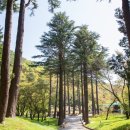 양수주유소 이미지