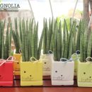 (봄맞이) 홈가드닝 이미지