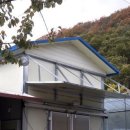 월정농장 이미지