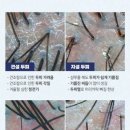 샴푸미용실 - 영광군 천년로11길 37 | 샴푸미용실