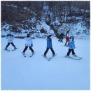 쥬니어 뉴 스포츠클럽 | 서울전지역어린이스키 아이들이 마음껏 뛰놀 수 있는 마이더스주니어 스포츠 클럽 후기