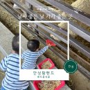 태산농장 | 가을 나들이 서울 근교 아이랑 안성팜랜드 두 번째 방문