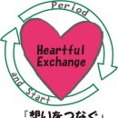 정리수납(야) 이미지