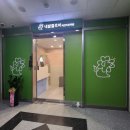 클로버 애견미용 이미지