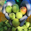 광영동주민센터 이미지