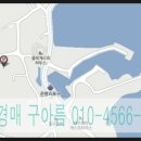 온평리-12 이미지