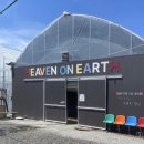 새서울농장(2) | #내돈내산 서울근교 용인 헤븐온어스 체험 농장 딸기체험 동물먹이주기 솔직후기