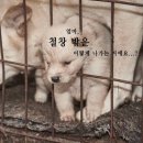 천마리농장 이미지