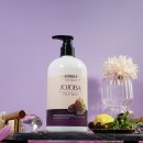 배가헤어 이미지