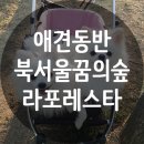 북서울꿈의숲(라포레스타) 이미지