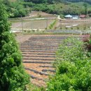 소나무민박 이미지