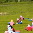 대한농장2 네이버블로그