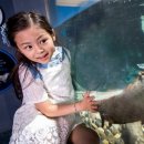 아쿠아플라넷63 이미지