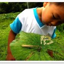 세상을 보는 신기한 과학실험 이미지