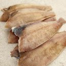 한림에서 이미지