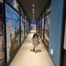 맥스게임장 이미지