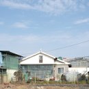 출장 | 충남 홍성 내포 부모님 생신상 오혜린 출장부페 내돈내산 후기