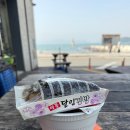 해파랑길 2코스 | 1-2. 해파랑길 2코스