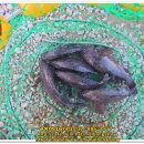 말봉바다낚시터 이미지