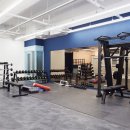 루다피티 이미지