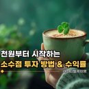 [40대 주부 재테크] 천원부터 시작하는 소수점 투자 하는 방법 & 1년 수익률 후기