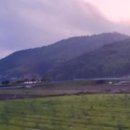 진도 카멜리아 힐즈 오토캠핑장 이미지