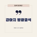 모던동물병원 이미지