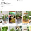 이끼다움