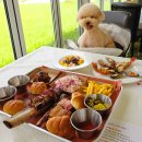 프라임 애견 | 양평 애견동반식당 텍사스프라임 미국식 바베큐 찐맛집