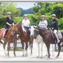 월림농장 | 🐎말 처음 타본 삼남매😆제주 더마파크 승마체험 만족도 100% 💖최고의 선택이었어요 🐎제주 더마파크 추천후기