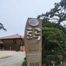 토루민박