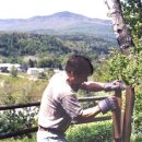 스팀박스 이미지