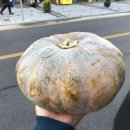 제이앤코슈광주금호센터