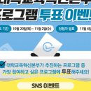 대학교육