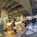 아크성지 이미지