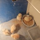 송죽가헌 이미지