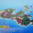 천구식품 Daum카페